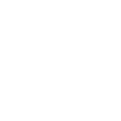 The Social Hub